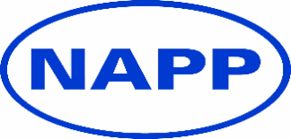 Blue Napp logo 300 dpi